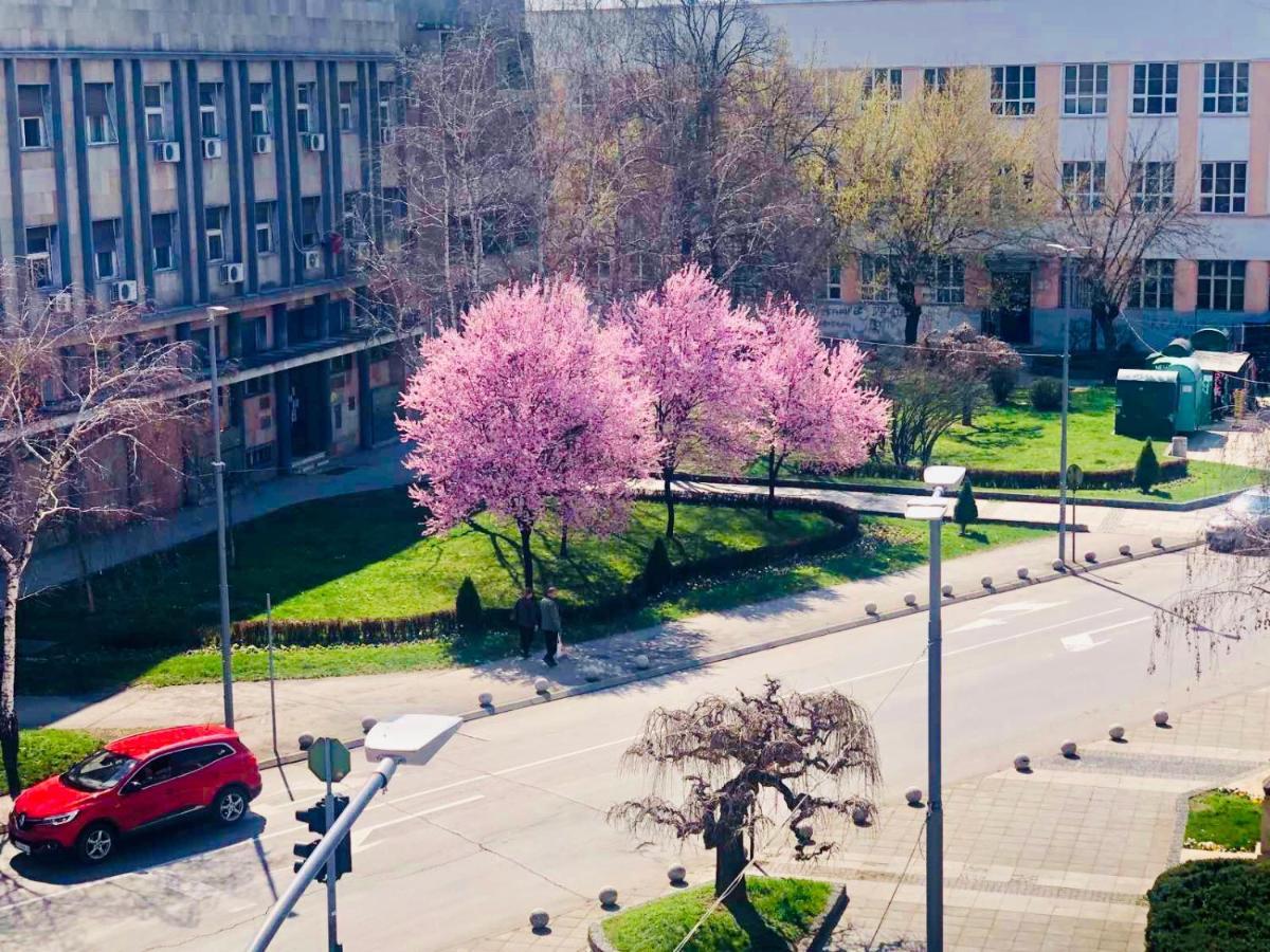 Bella Studios Krusevac Exterior photo